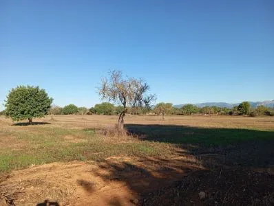 Country house in Algaida, built surface 146 m², plot surface 46,000 m², 3 bedrooms, 1 bathroom — photo 9
