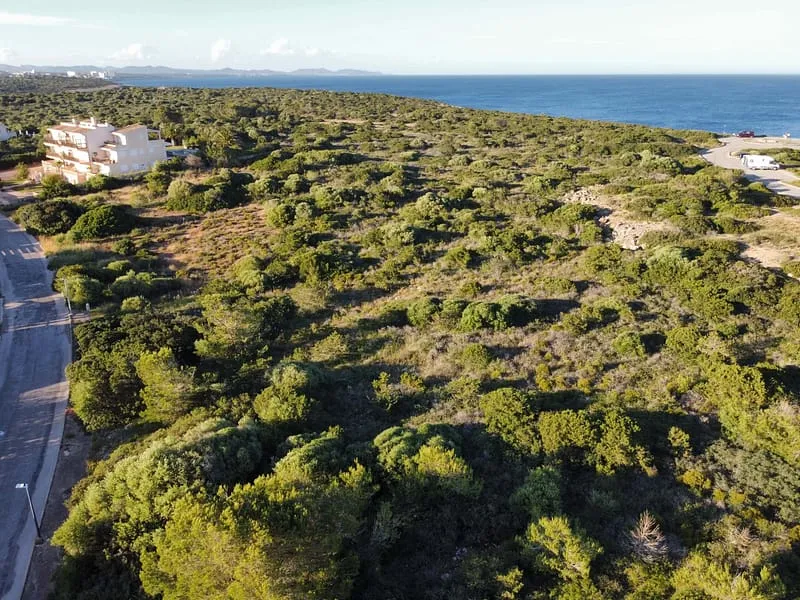 South-facing residential plot near coastal trails in prestigious Portocolom | Last opportunity — photo 1