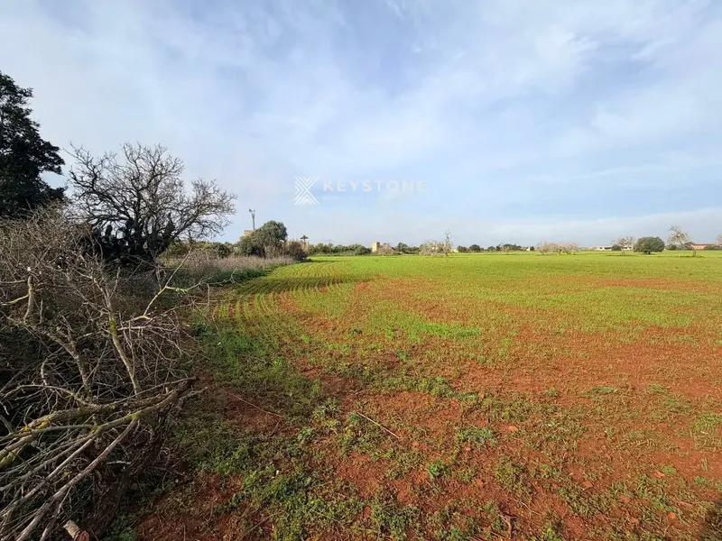 Approved technical project included. There is an approved project for the renovation of the existing agricultural buildings, which represents a saving — photo 6