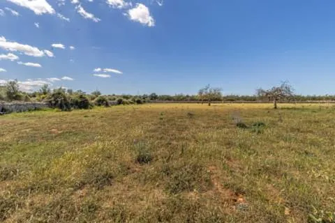Plot — photo 11