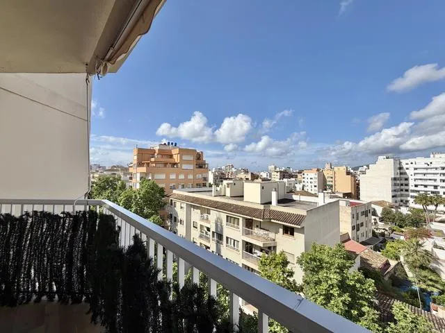 Palma - Arxiduc — photo 1