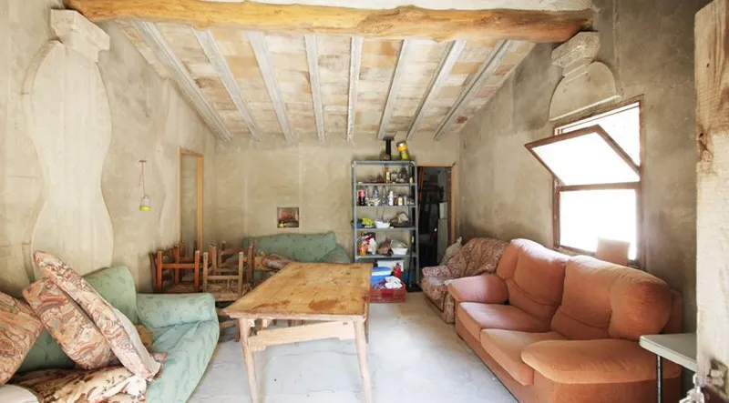 Olive grove in quiet area with semi-renovated little house — photo 4