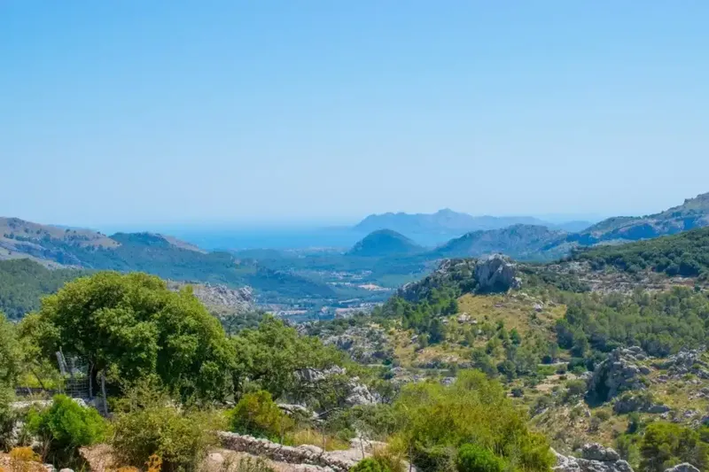 This is one of the few opportunities to buy an impressive and traditional finca and a piece of Mallorcan history to go with it. — photo 3