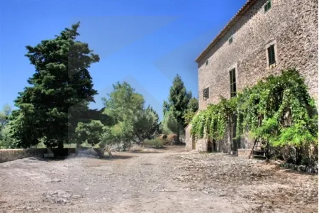 0882 Traditional Mallorcan finca in a rural paradise near Pollensa — photo 1