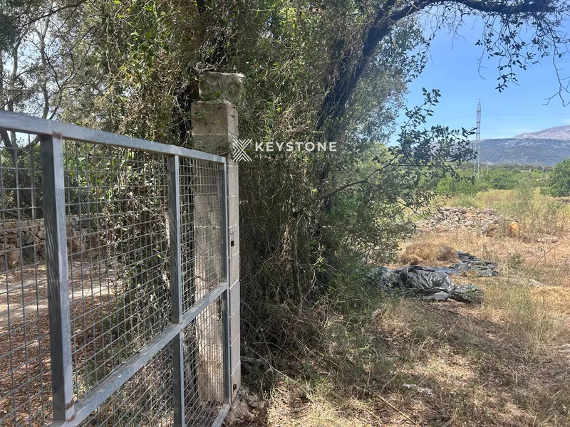 Plot — photo 9