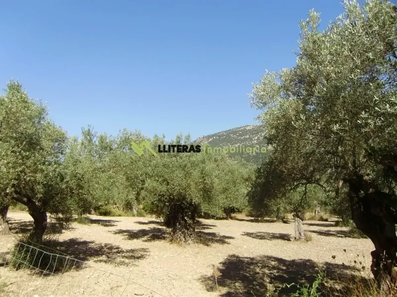 Fantastic estate in the valley between Alaro and Orient, in a paradisiacal setting surrounded by mountains. With an area of more than 50,000 m2 and u — photo 8