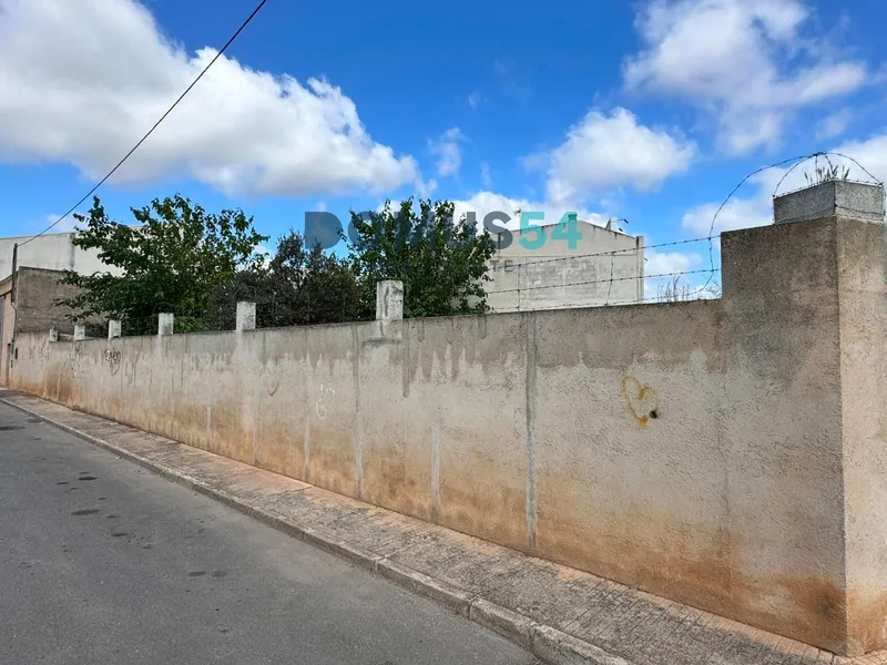 plot in Sa Pobla — photo 5