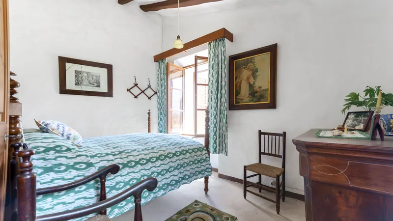 Investment! Finca in Soller on a large plot with fruit trees and lots of potential — photo 7