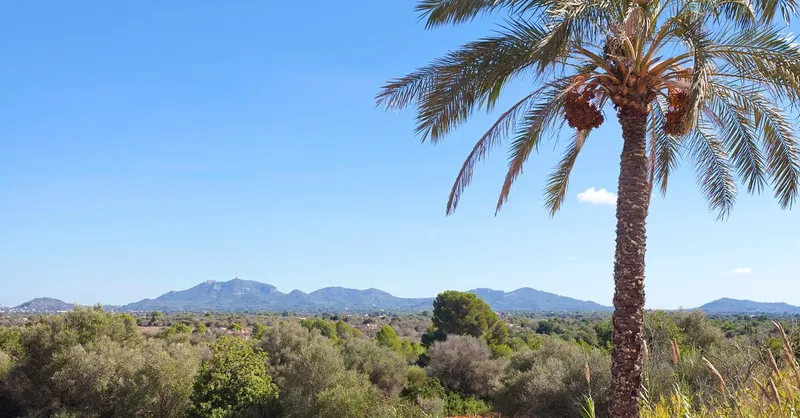 Natural stone finca with large pool, panoramic views and lots of privacy between Campos and Felanitx — photo 3
