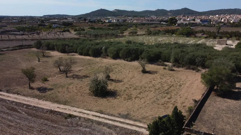 Rustic plot of 1,753 m² near Porreres — photo 2