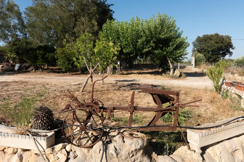 Magnificent country estate for rent on the outskirts of Sineu — photo 3