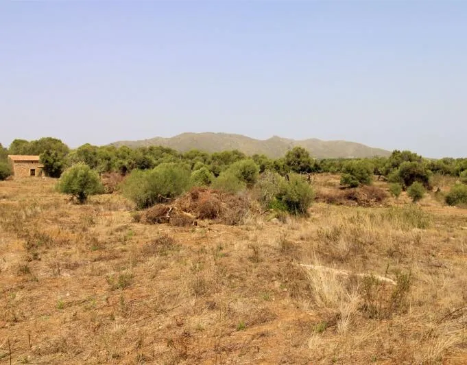 Beautiful rustic finca near the village of Arta — photo 1