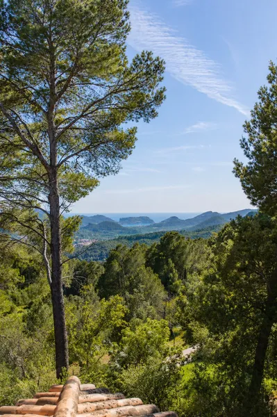 Finca with port views and holiday license in Andratx — photo 1