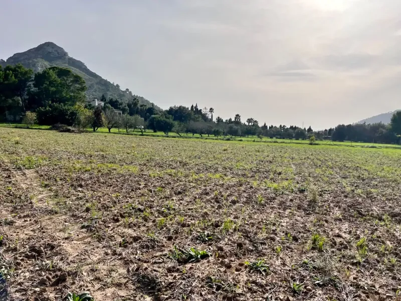 On the outskirts of Alcudia, we have this finca of about 12,900 m2 of land, with a water well, fenced finca, with 1 building in ruins. — photo 10