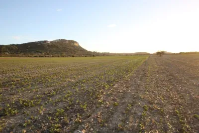 Building land between Sineu and Petra — photo 1