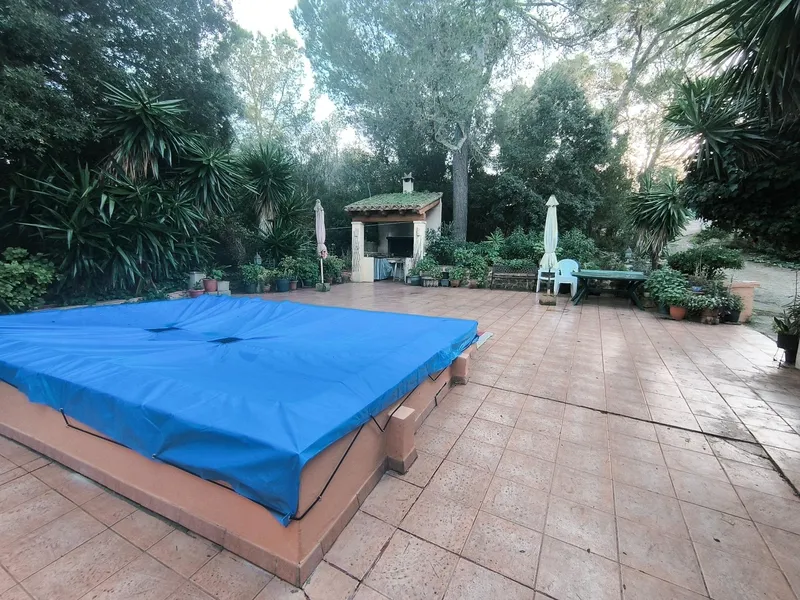 Exclusive Opportunity: Rustic Estate in the Heart of Mallorca with Pool, Well, and GESA Electricity — photo 6