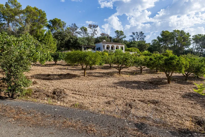 Rustic finca with panoramic views in Algaida, ideal for growing vines and olive trees. — photo 1