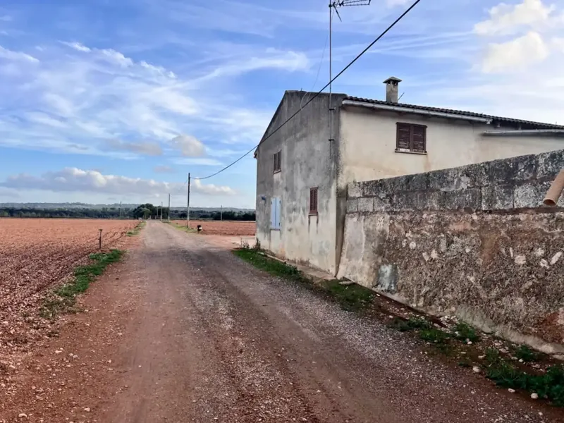 Rustic estate for sale, between Llubí and Muro, about 39,000 m2 of land, with several constructions, a large safareig, an agricultural warehouse and — photo 7