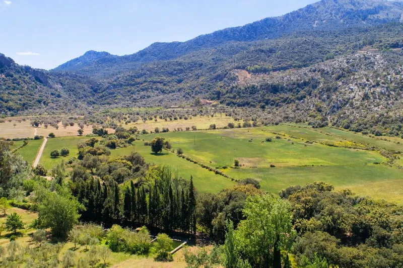 Exclusive Finca for Sale near Escorca — photo 7