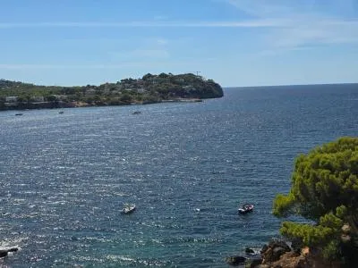 Apartment - Calvià (Santa Ponsa) , Built Surface 45m 2 , 1 Room, 1 Bathrooms, 20 Distance to the sea, Lift, Pool,... — photo 5
