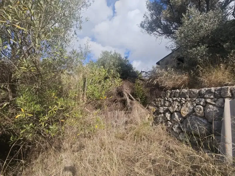 Inser Propiedades exclusively markets a rustic estate with exceptional potential in the municipality of Selva. Located — photo 8