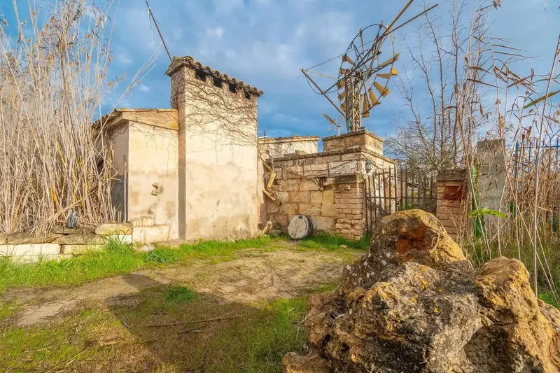 Rustic Estate in the S'Albufera Natural Park · Sa Pobla — photo 7