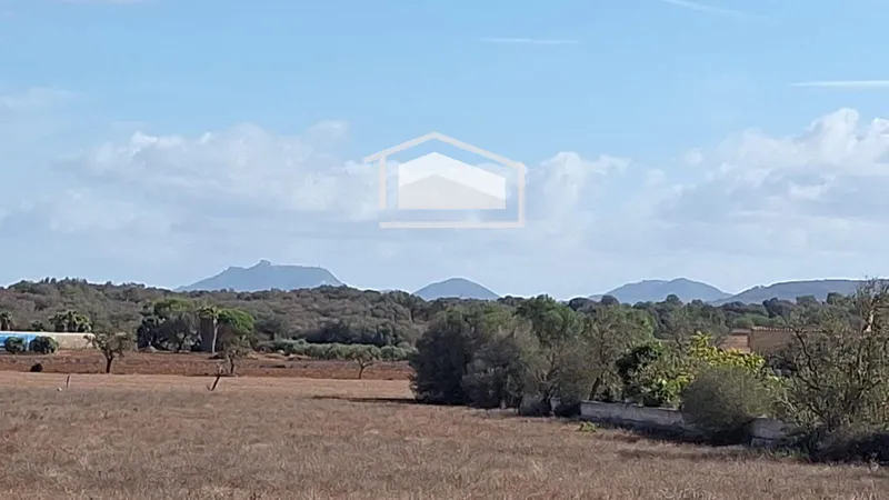 Plot in Ses Salines, panoramic views and possibility to build a 450 m² home — photo 4