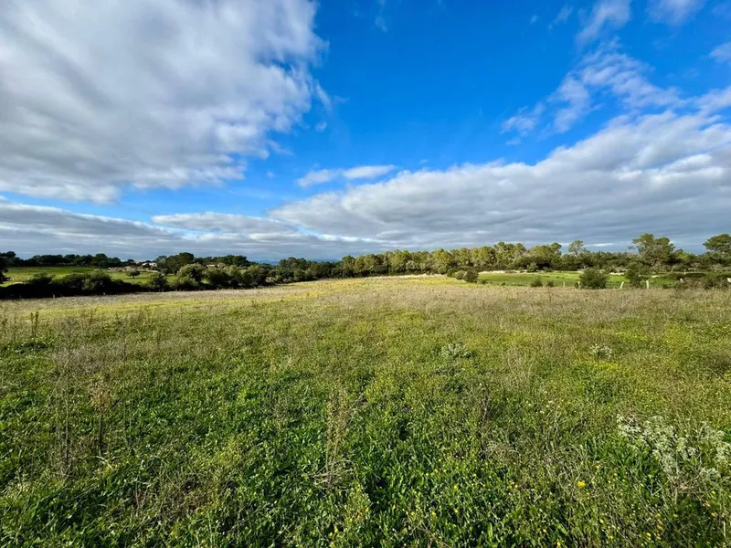 Land in Lloret de Vistalegre, Province of Balearic Islands — photo 12