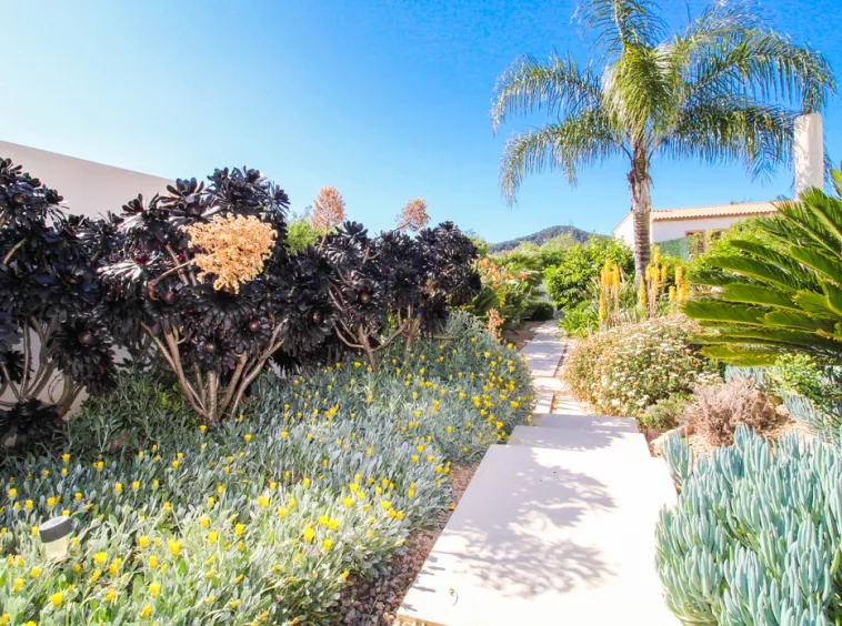 Ref. 2412V – Andratx – Luxurious Villa — photo 6