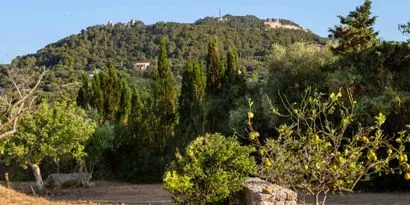 Real estate picture 0 Ref. No. 83926 — photo 7