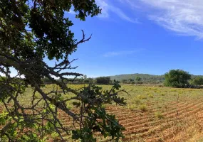 Rustic Plot with License – Es Galdent — photo 4