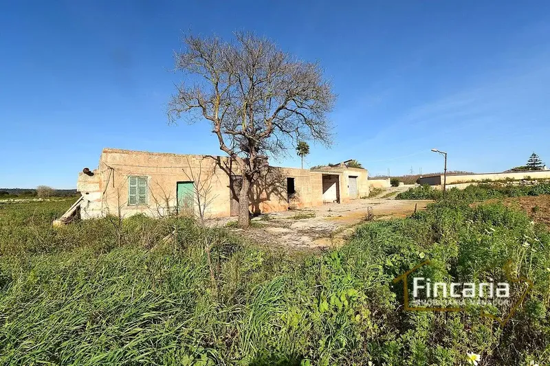 Sensational agricultural warehouse in perfect condition located in the Son Llunes area, 2.5 km from Manacor. Warehouse of 85 m — photo 5