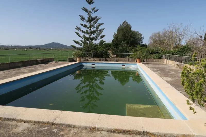 Luxury home in Ariany, Province of Balearic Islands — photo 10