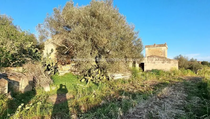 Finca to renovate in quiet area between Santanyí and Campos — photo 10