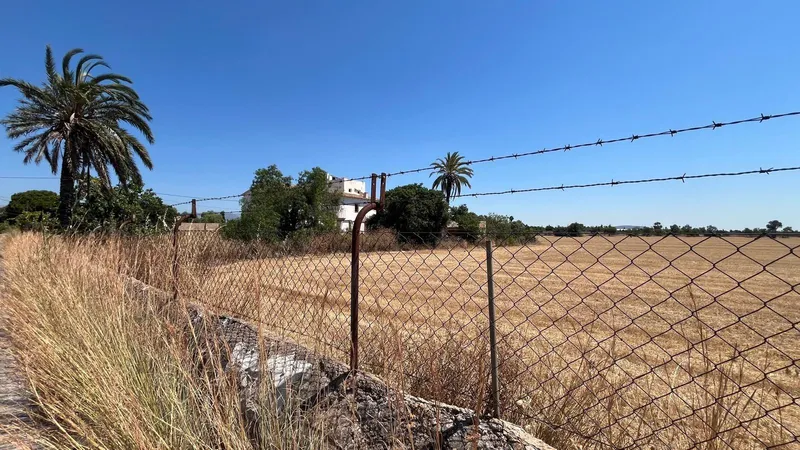 Mallorcan finca for renovation with flat land and safareig — photo 8