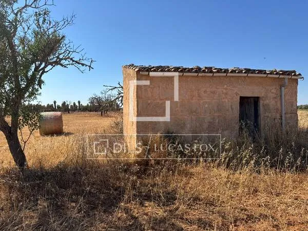 23,084m² plot for sale in Ses Salines, Balearic Islands — photo 5