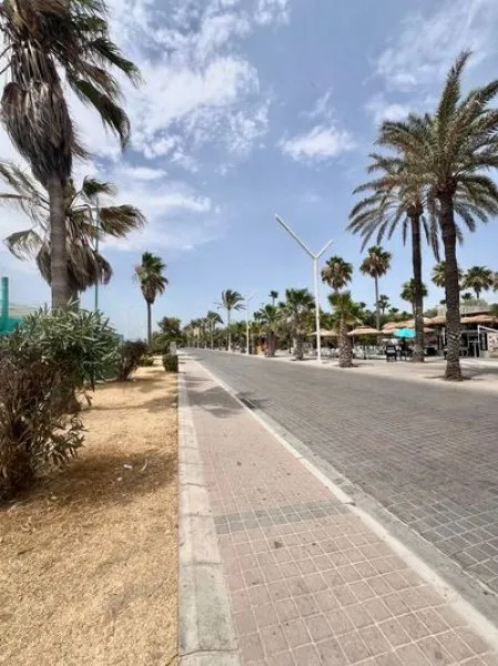 Playa de Palma - Rental — photo 1