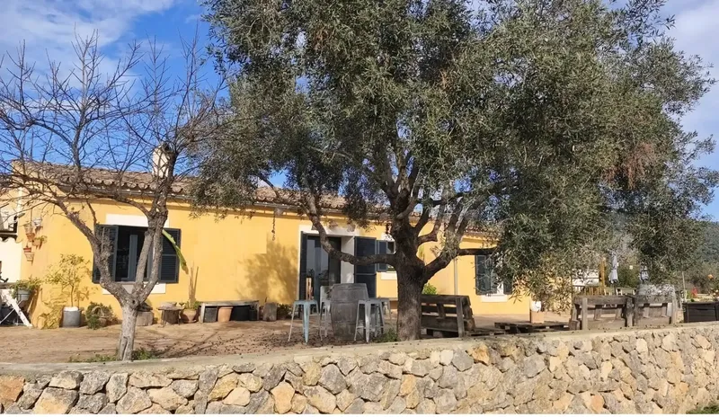 In Binissalem, with a privileged location at the foot of the mountain and yet a step away from the village, we present this cozy house. — photo 3