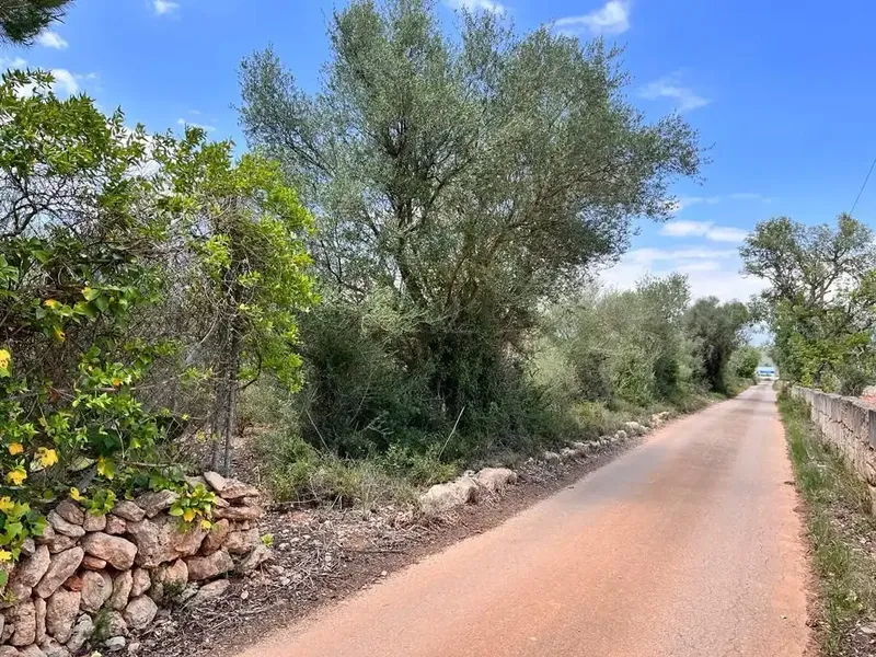 Llucmajor, 7,900 m² plot, very easy access, asphalted road, ideal for weekends. Plot with lots of garrigue. Ref. 3748 [IW] — photo 8