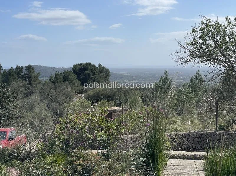 Villa in Llucmajor — photo 2