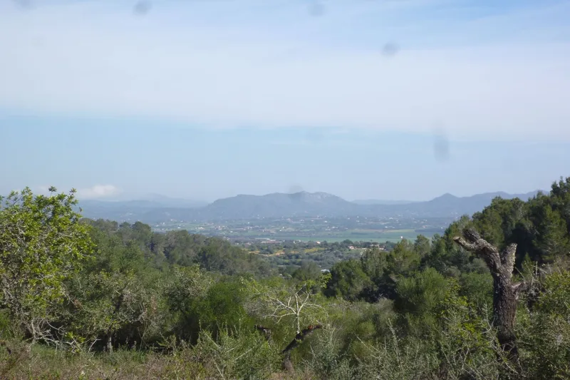 Large building plot for finca project in a quiet location near Son Macià — photo 3