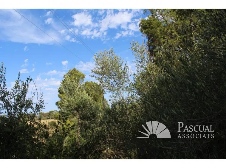 Plot for sale in Canyamel — photo 9