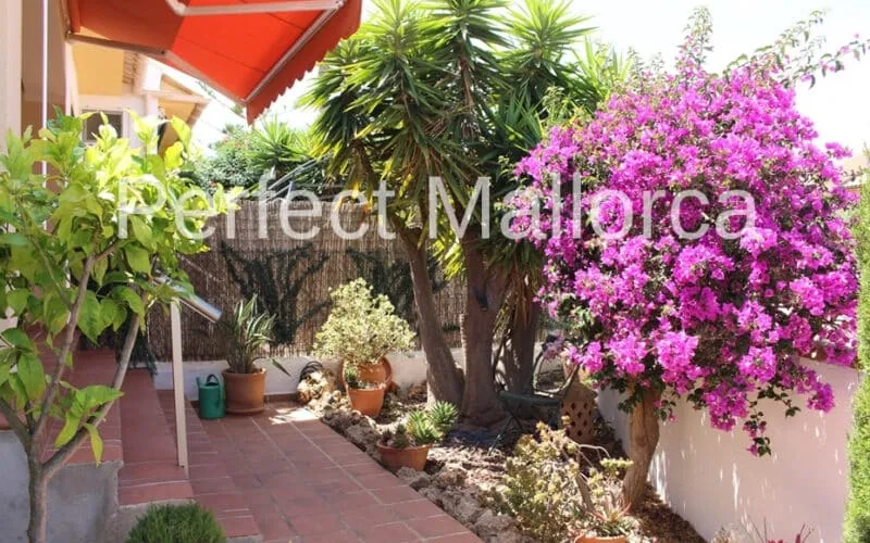Well-kept end terraced house with guest area in Cala Murada — photo 4