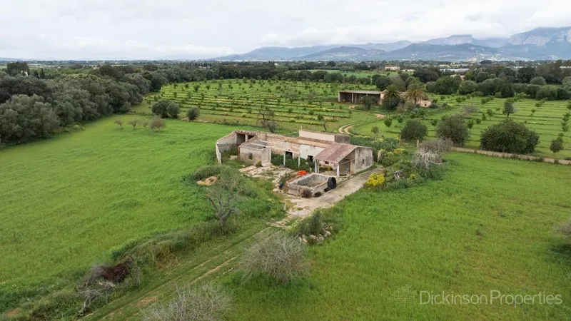 A 47,231 m² plot in Binissalem, Mallorca, with an approved building license, offering panoramic mountain views and proximity to the village center. — photo 6