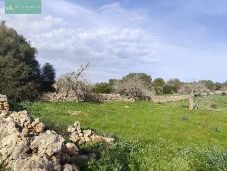 Rustic property - Santa Margalida, Built Surface 50m², Plot Surface 15767m², 1 Room, 1 Bathrooms — photo 4