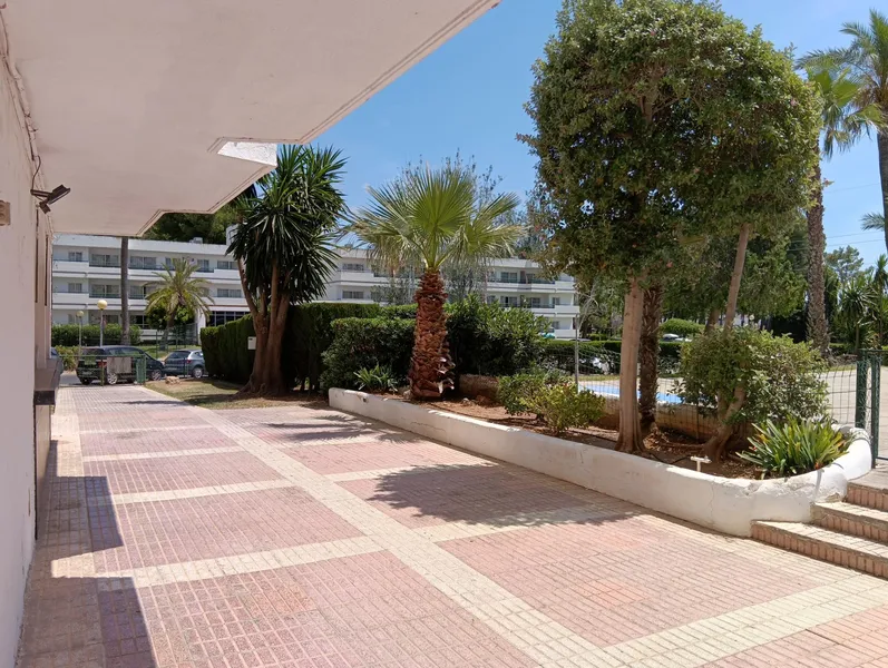 3 premises for sale together in Siesta 3 — photo 5