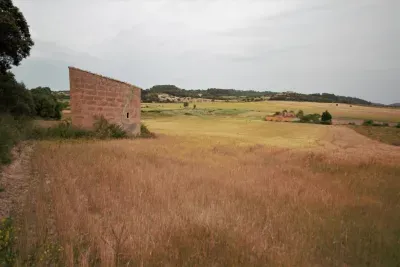 Building land in Montuiri — photo 1