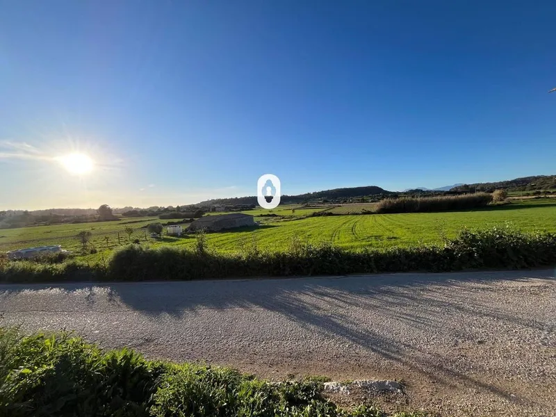Land in Montuïri, Province of Balearic Islands — photo 10