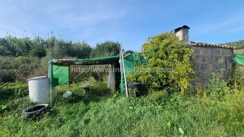 Te presento una encantadora propiedad rústica situada en el idílico pueblo de Petra, en las Baleares, España. Esta bonita finca se extiende  — photo 10