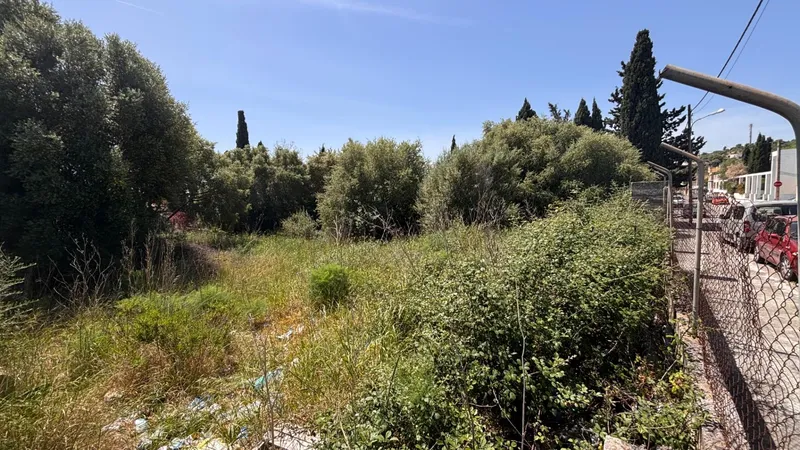 Buildable residential plot in Lloseta — photo 2